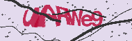 Captcha認証コード