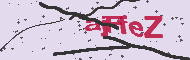 Captcha認証コード